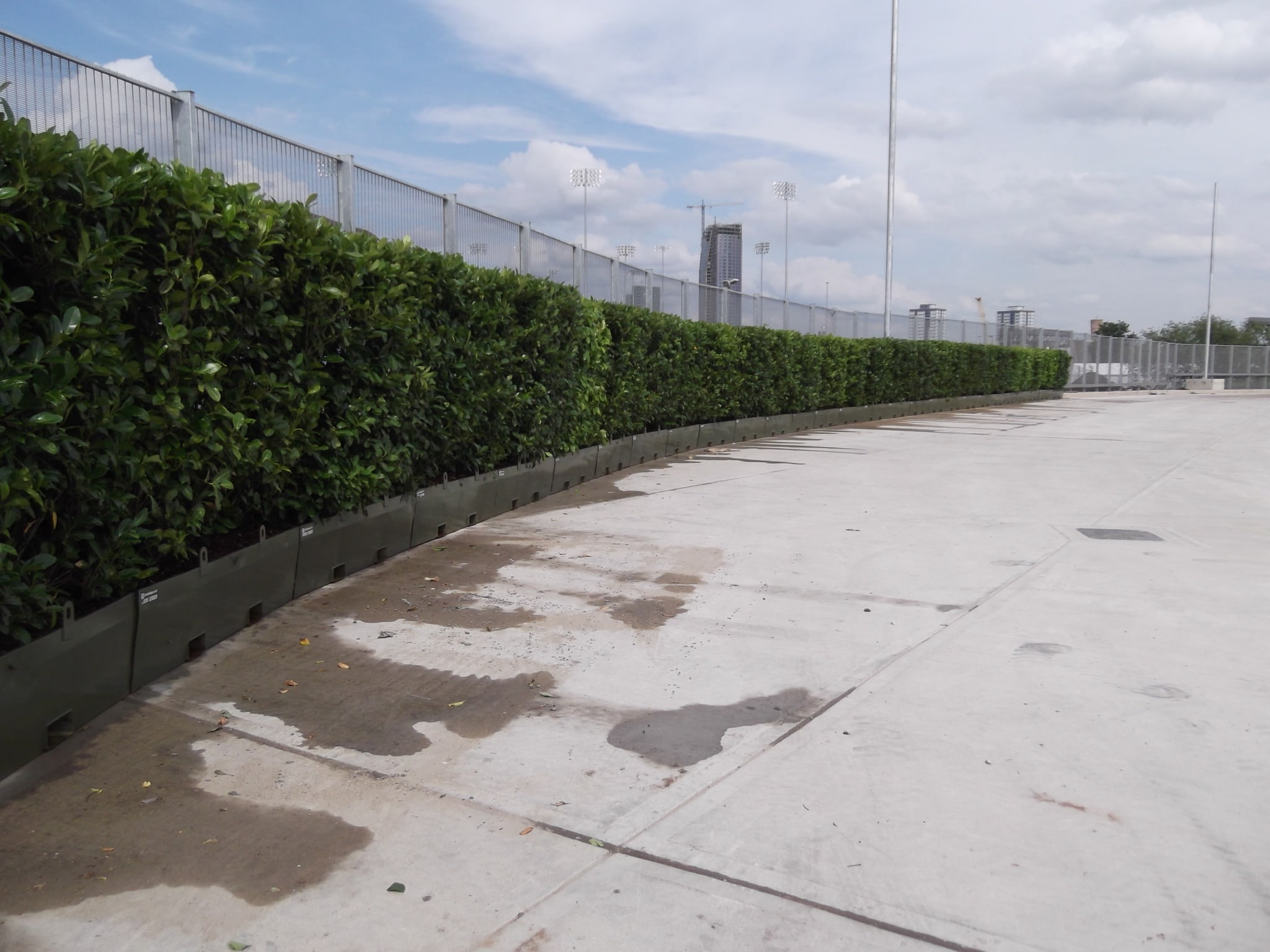 large hedge planter barrier