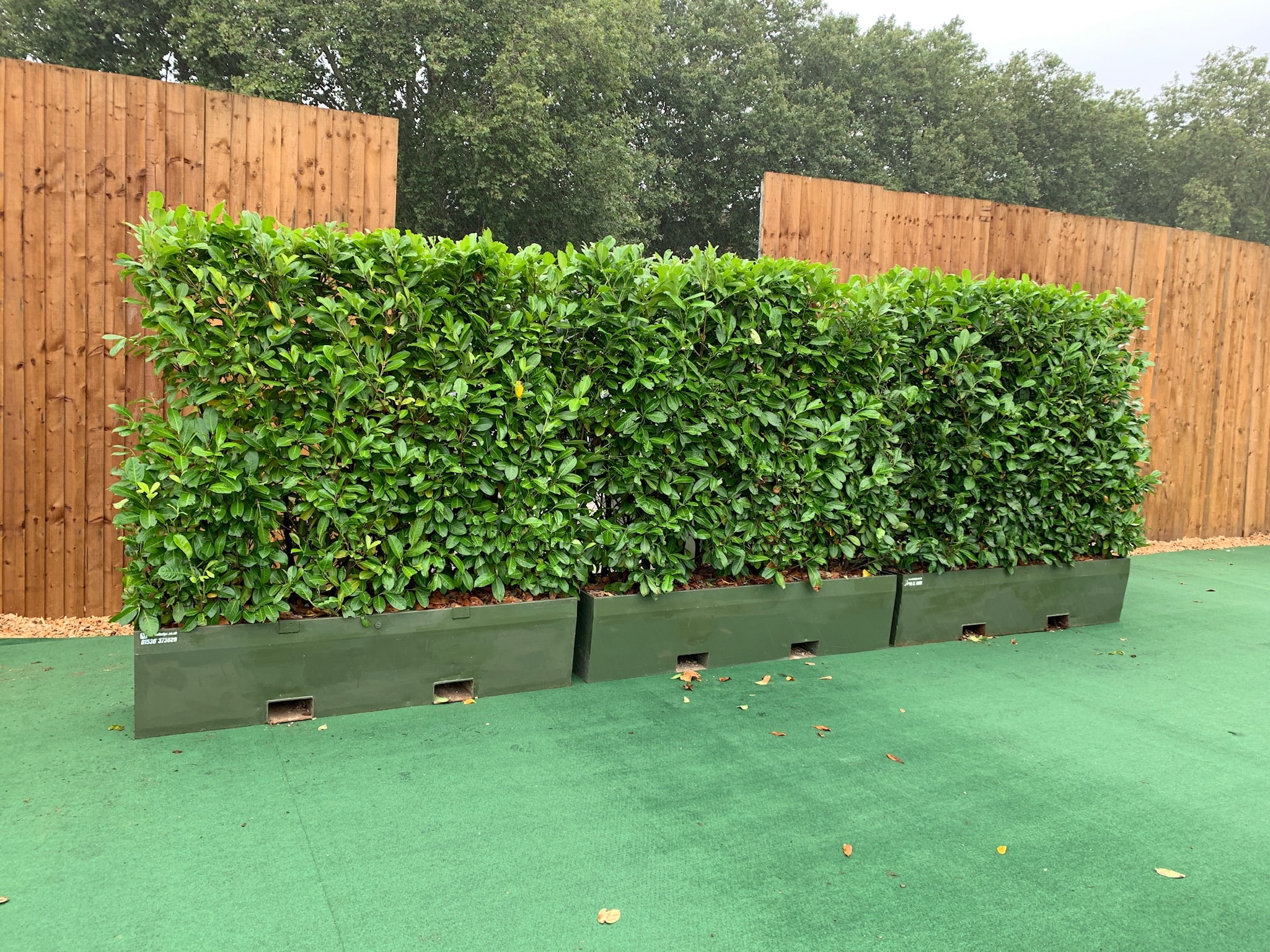 large triple hedge planter fence