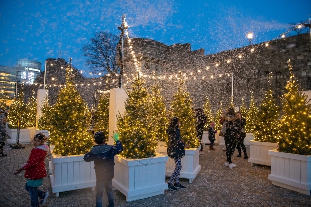 royal enclosure rental trees for christmas
