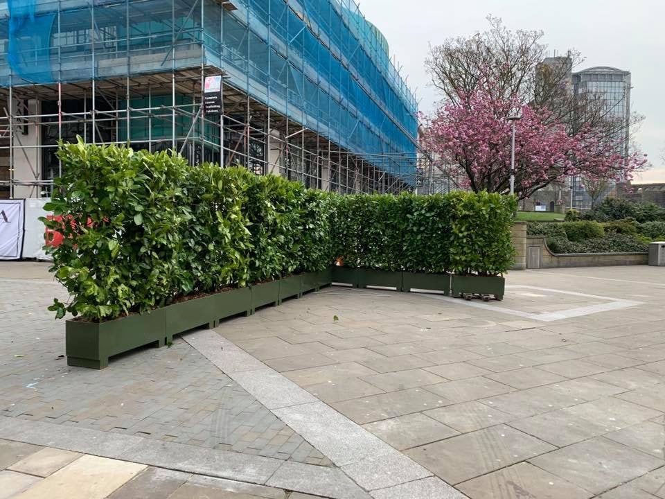 small hedge planters construction screen