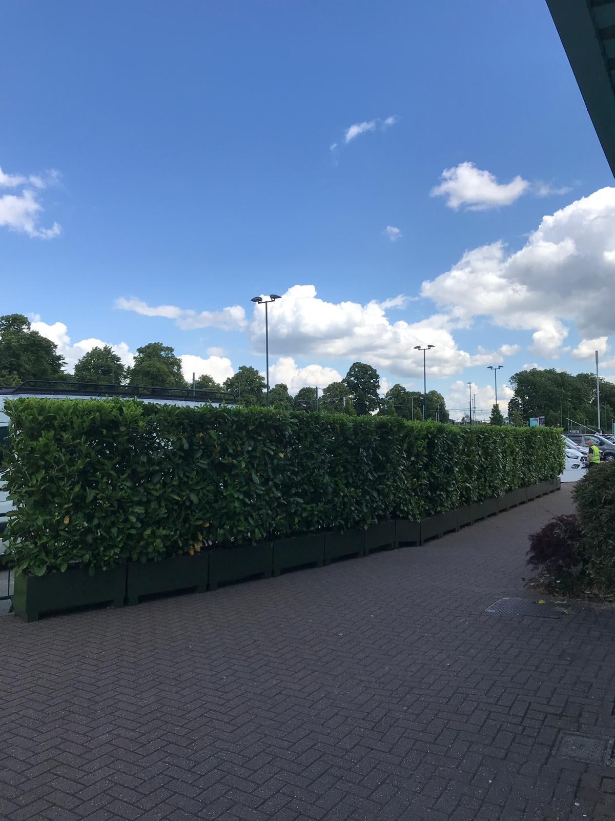 small hedge planters wall for carpark