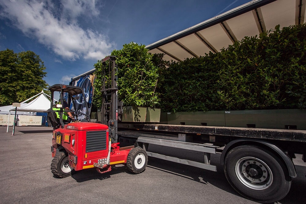 vehicle loading hedge planter onto delivery van
