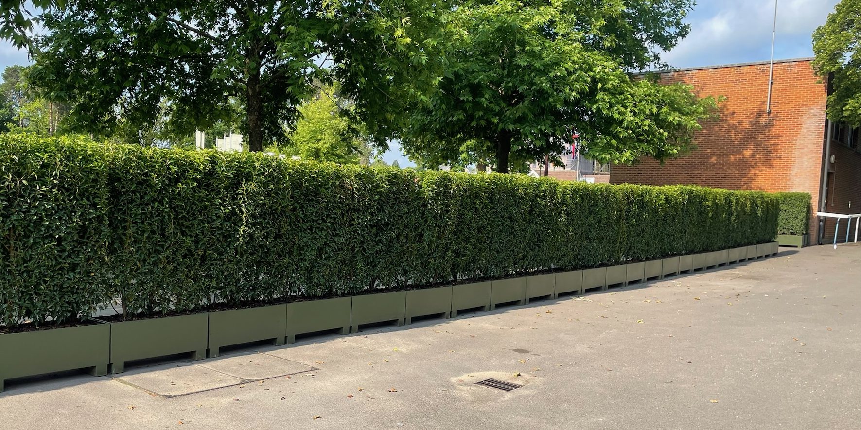Hedge Rental